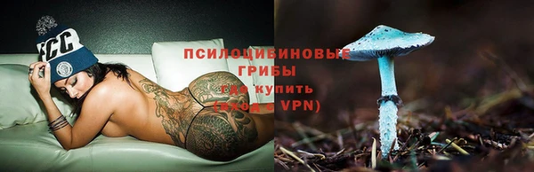 молекула духа Алзамай