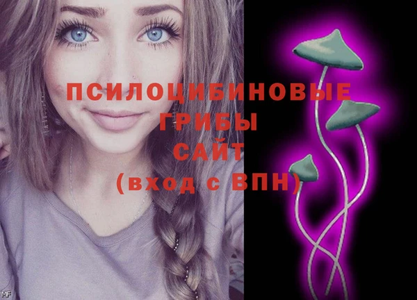 молекула духа Алзамай