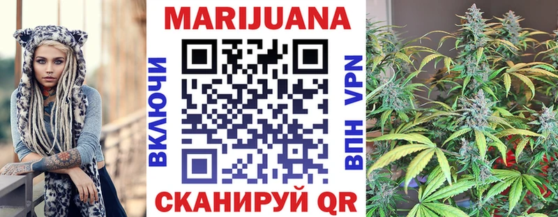 Бошки Шишки сатива Яблоновский